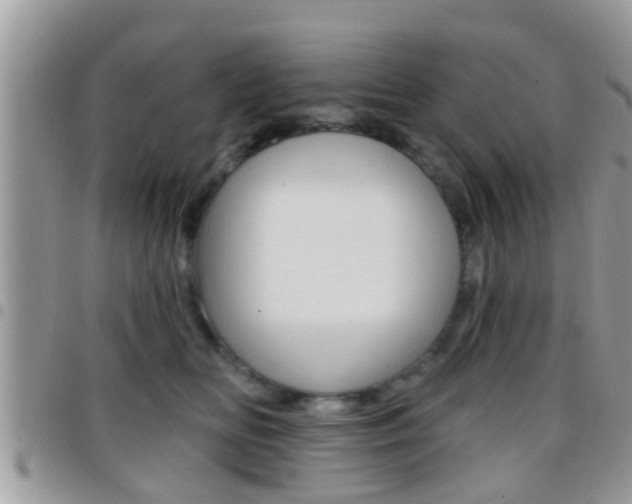 X0000096150518200801180832