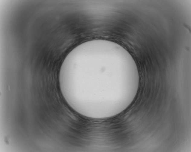 X0000096150519200801180832