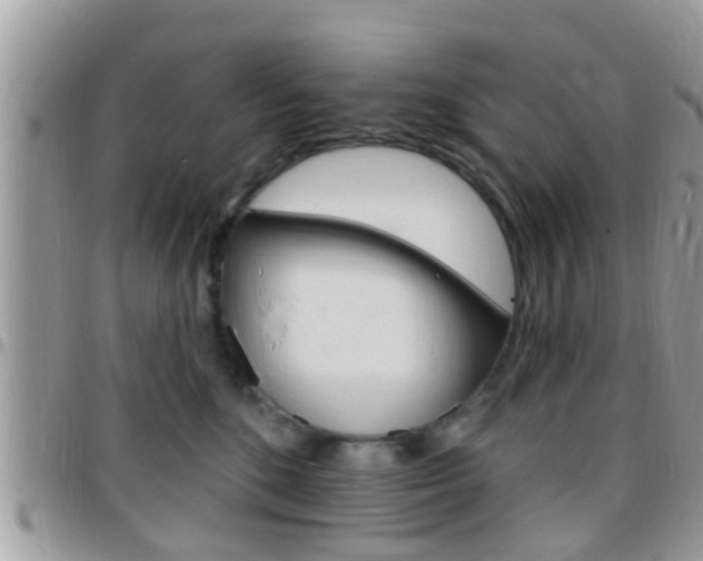 X0000096150520200801180832