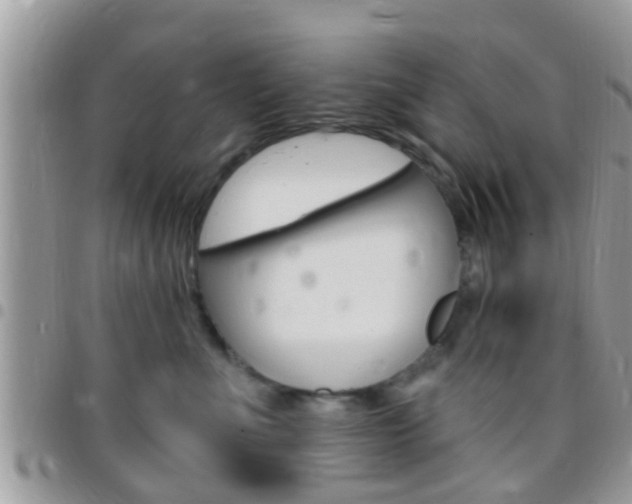 X0000096150523200801180832
