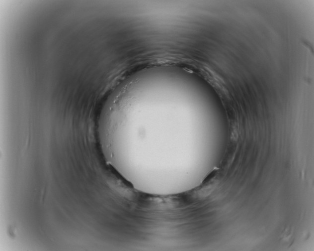 X0000096150524200801180832