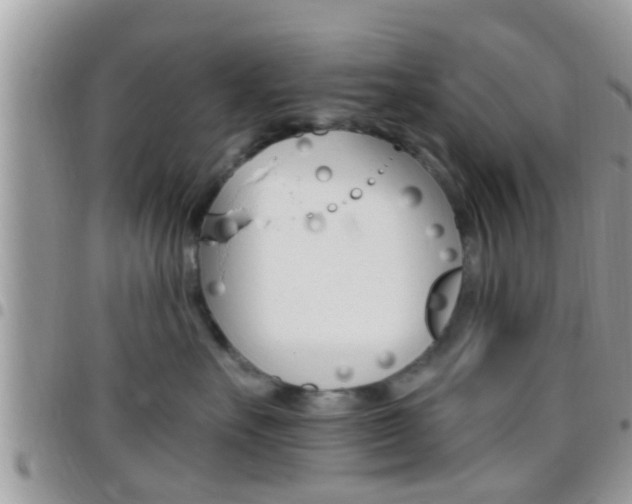 X0000096150527200801180832