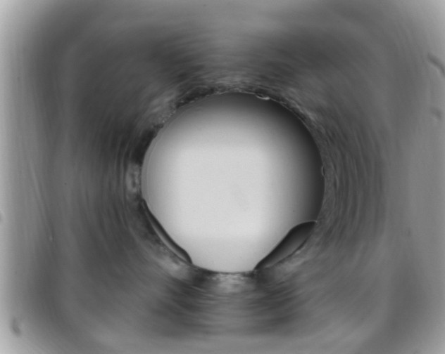 X0000096150528200801180832