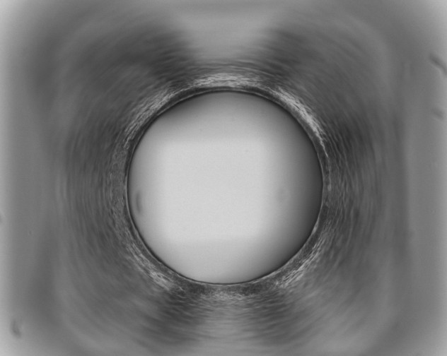 X0000096150529200801180831