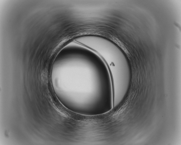 X0000096150530200801180831