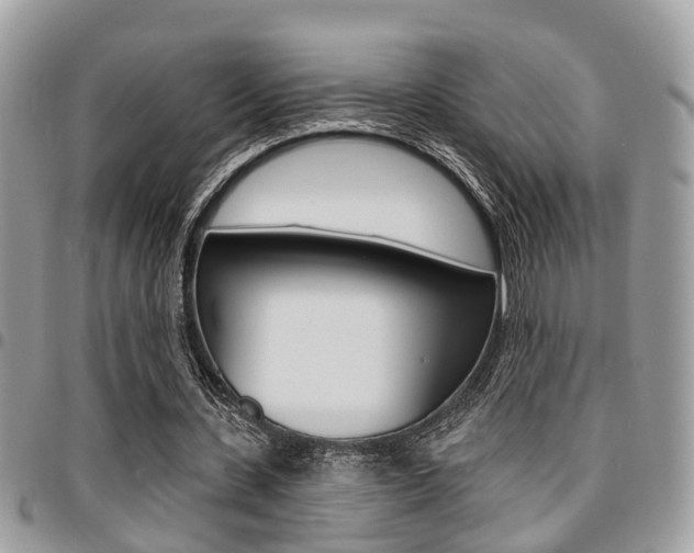X0000096150531200801180831
