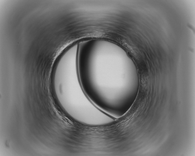 X0000096150532200801180831