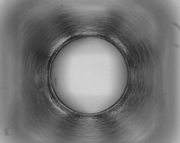 X0000096150533200801180831