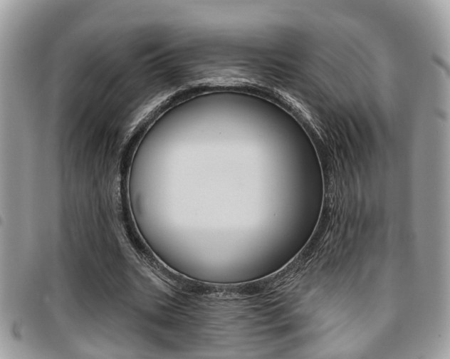 X0000096150535200801180831