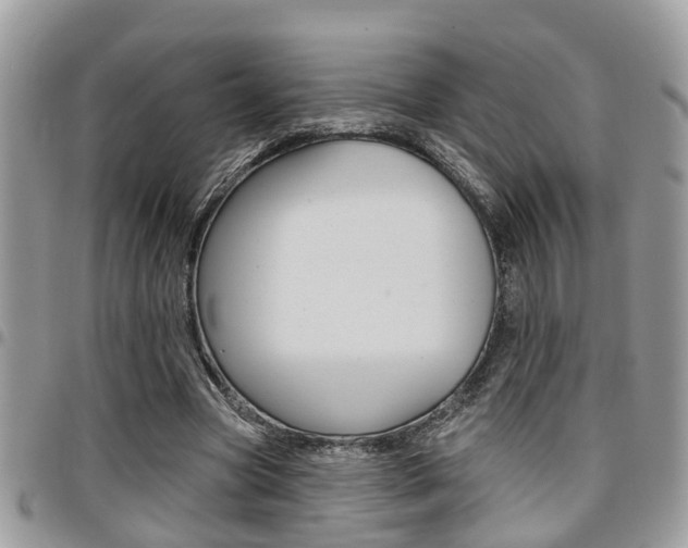 X0000096150537200801180831