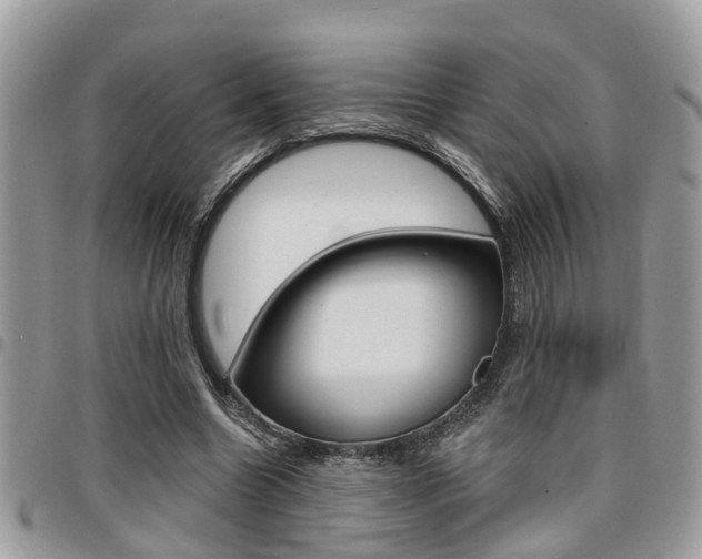 X0000096150538200801180831