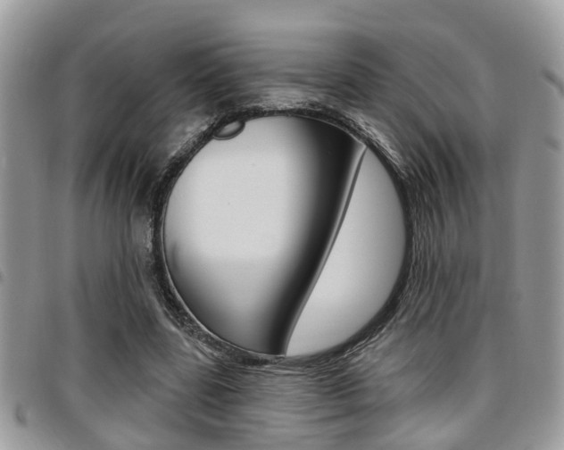 X0000096150539200801180831