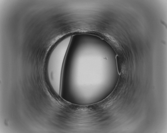X0000096150540200801180831