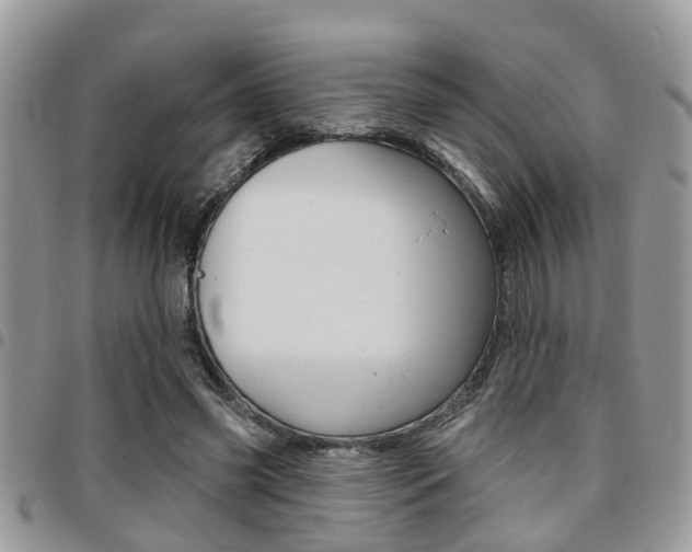 X0000096150541200801180831