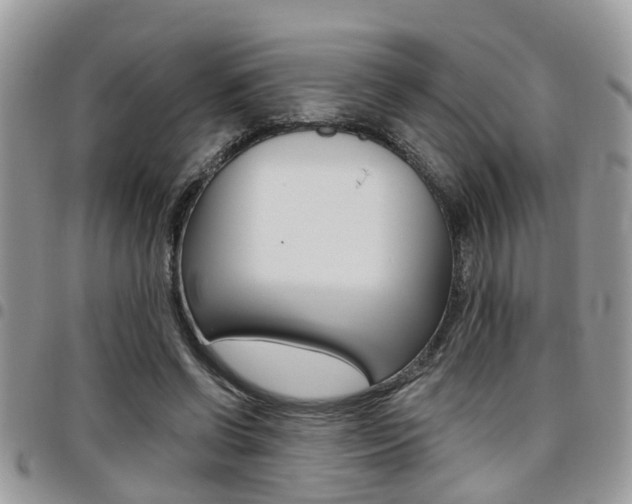 X0000096150542200801180831