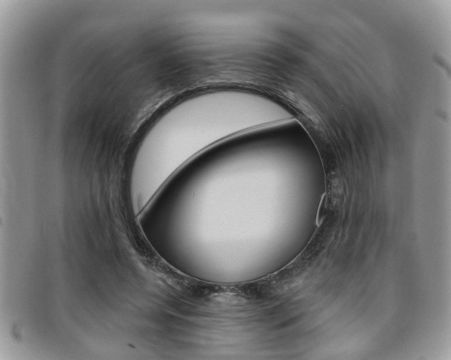 X0000096150544200801180831