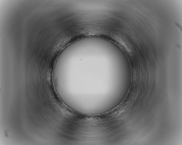 X0000096150545200801180831