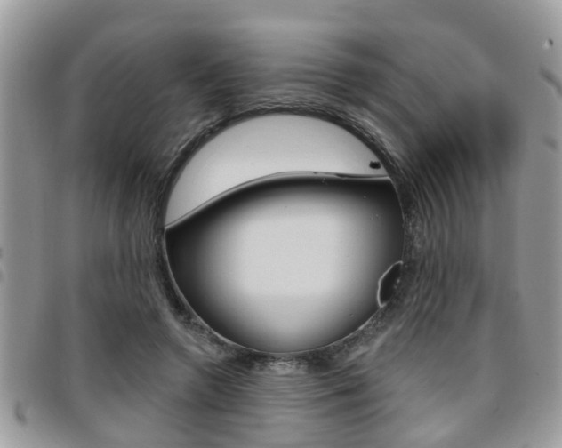 X0000096150546200801180832