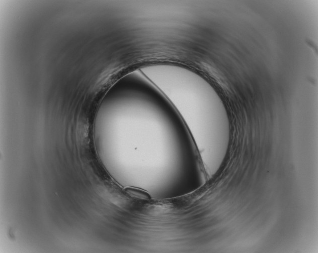 X0000096150548200801180832