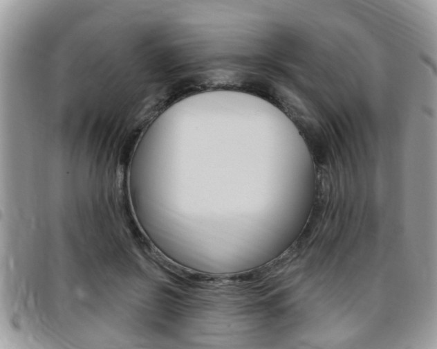 X0000096150550200801180832