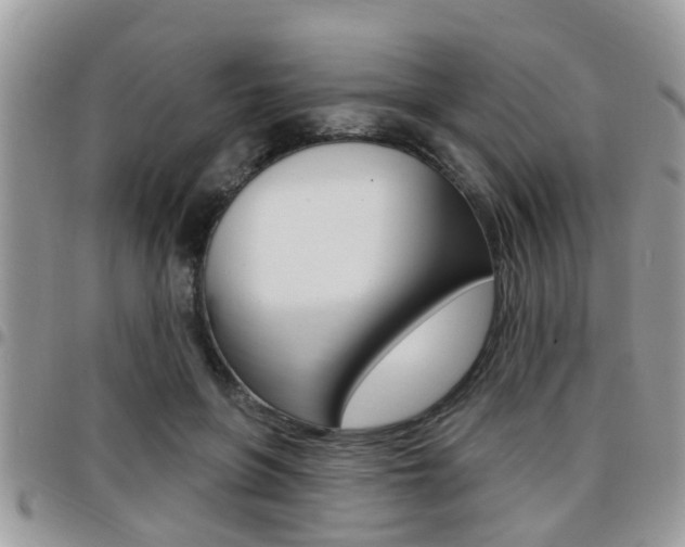 X0000096150551200801180832