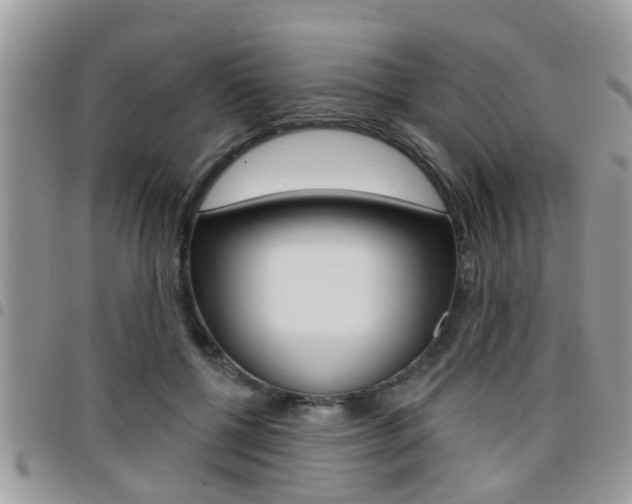 X0000096150552200801180832