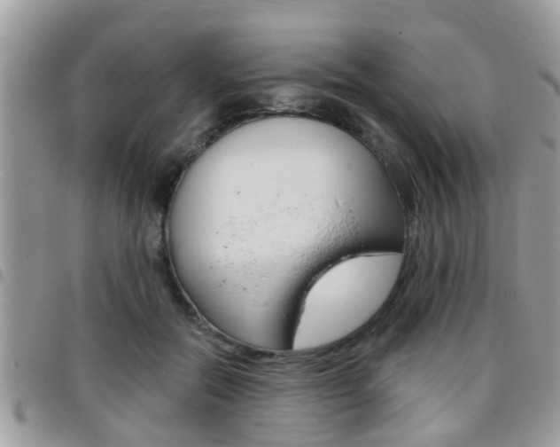 X0000096150554200801180832