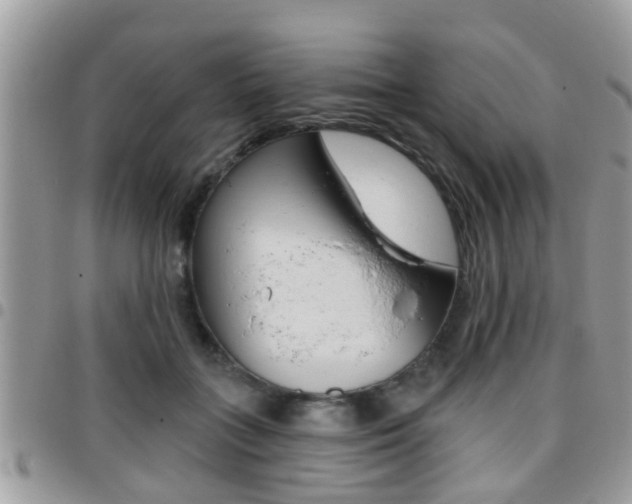 X0000096150555200801180832