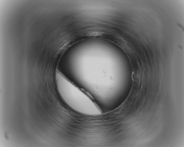 X0000096150556200801180832