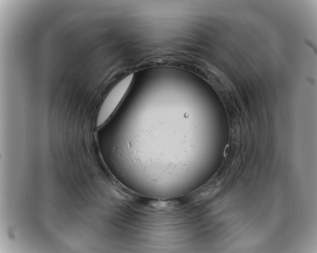 X0000096150558200801180832