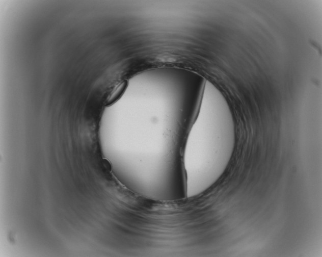 X0000096150559200801180832
