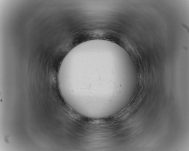 X0000096150561200801180832