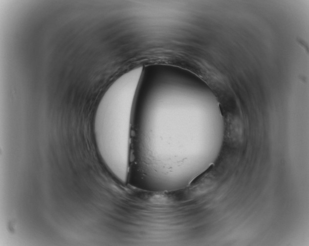 X0000096150562200801180832