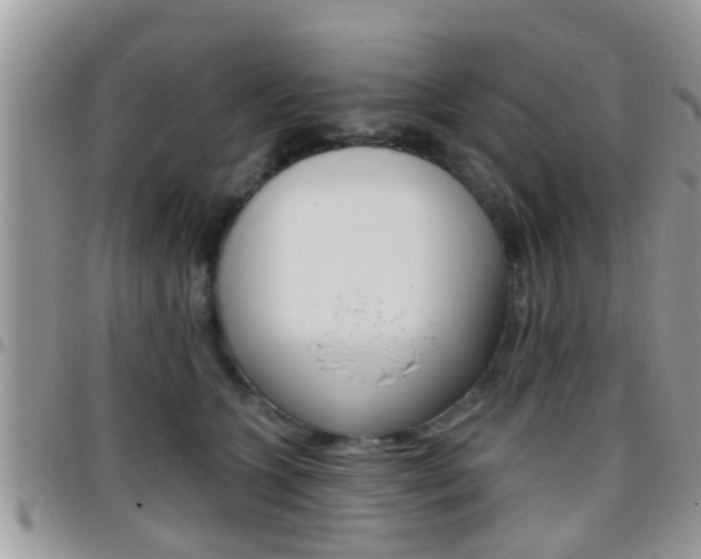 X0000096150563200801180832