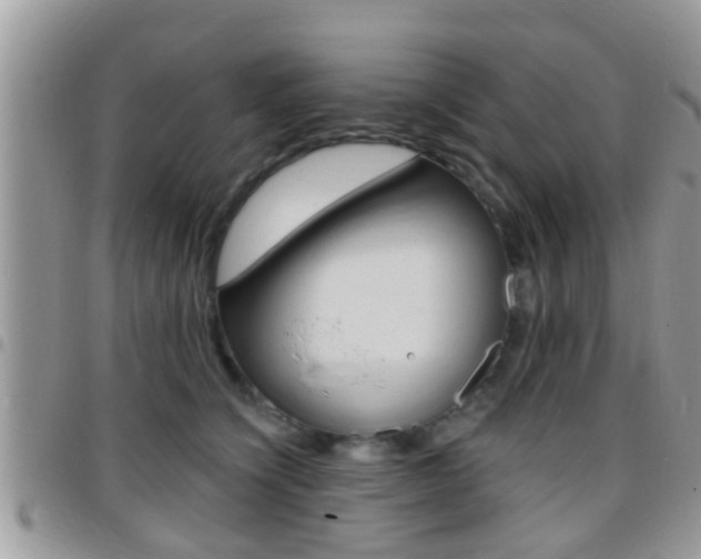 X0000096150564200801180832
