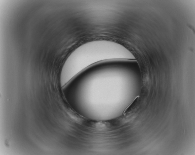 X0000096150566200801180832
