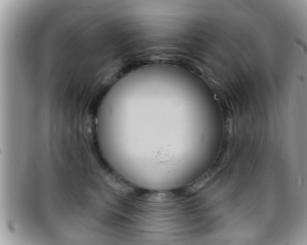 X0000096150567200801180832