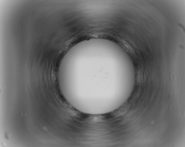 X0000096150569200801180832