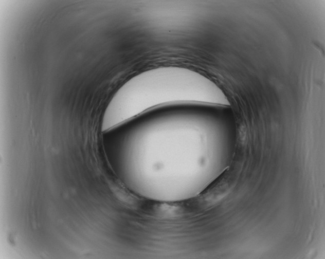 X0000096150570200801180832