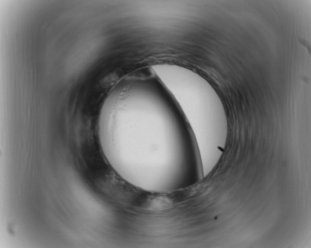 X0000096150572200801180832