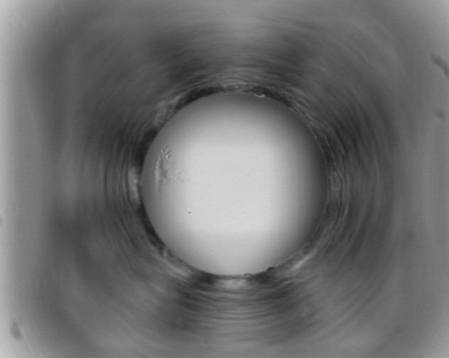 X0000096150575200801180832