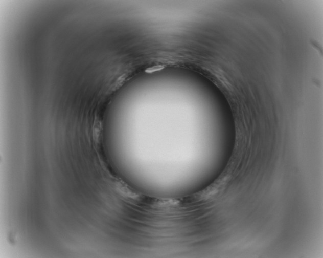 X0000096150576200801180832