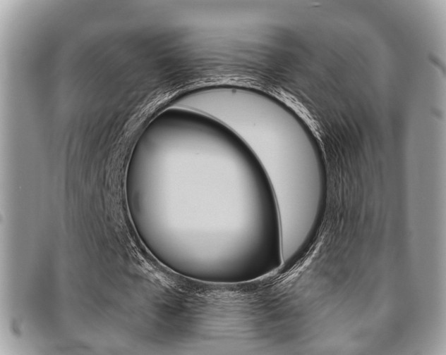 X0000096150577200801180831