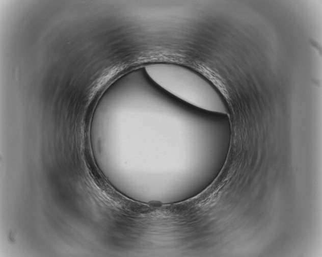 X0000096150578200801180831