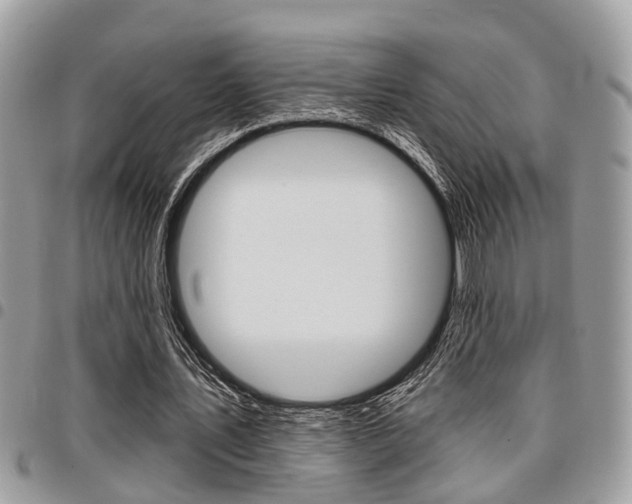 X0000096150579200801180831