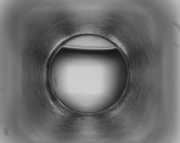X0000096150580200801180831