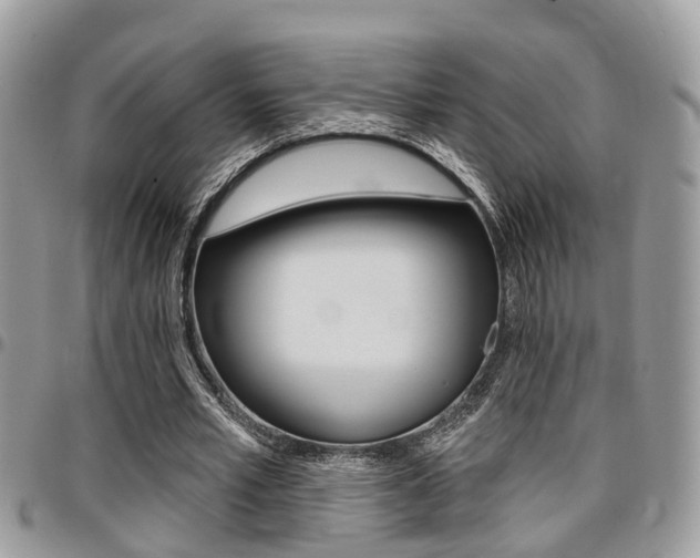 X0000096150581200801180831