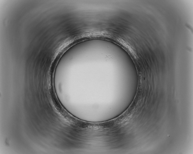 X0000096150582200801180831