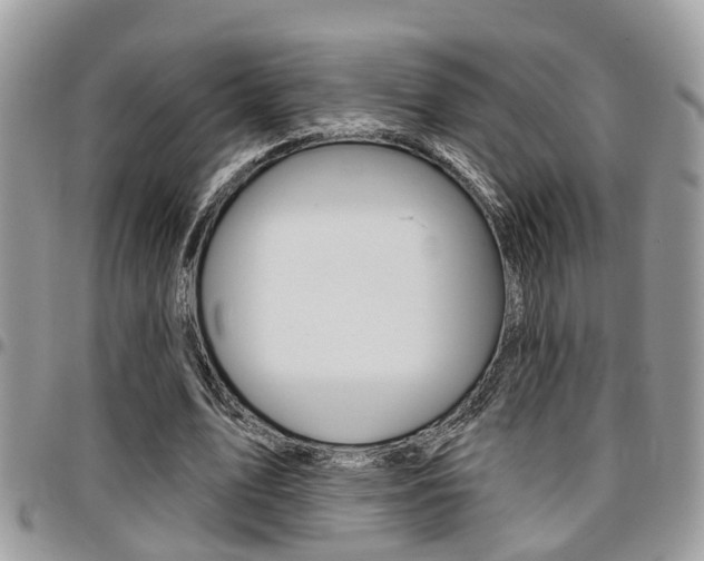 X0000096150583200801180831