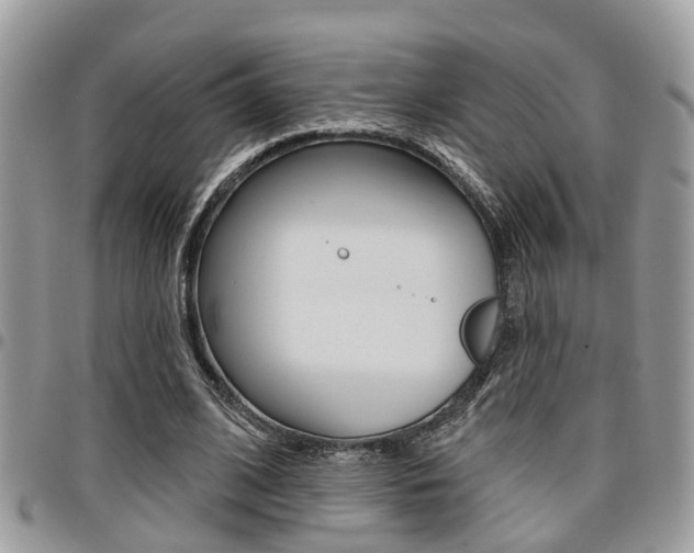 X0000096150584200801180831